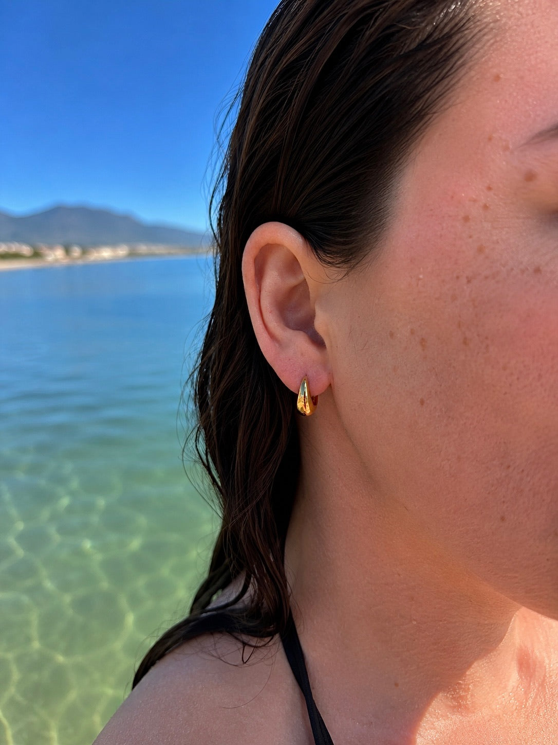 Selene Earrings 316L Roestvrij Stalen oorbellen van DLN Jewellery